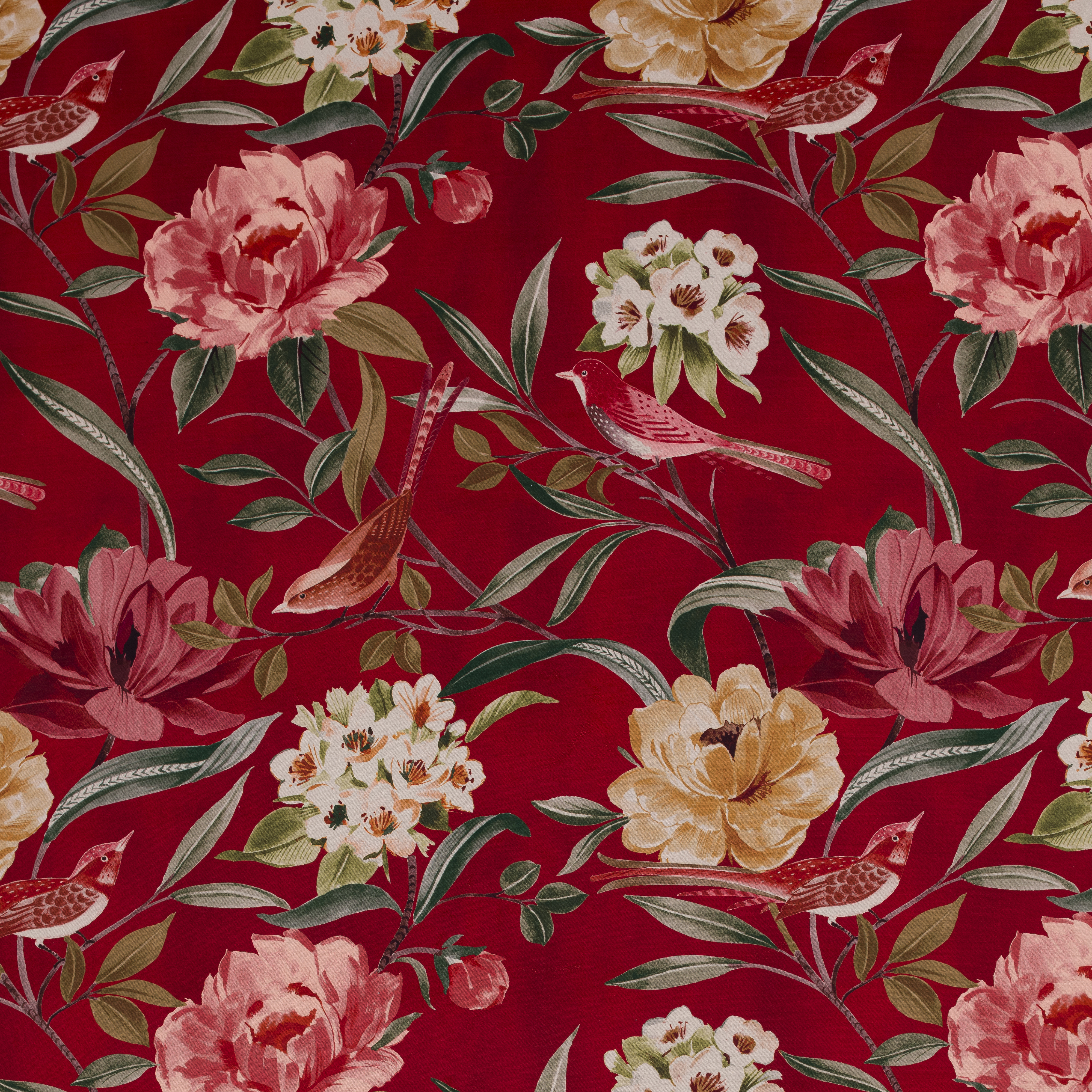Shangri La Rosso