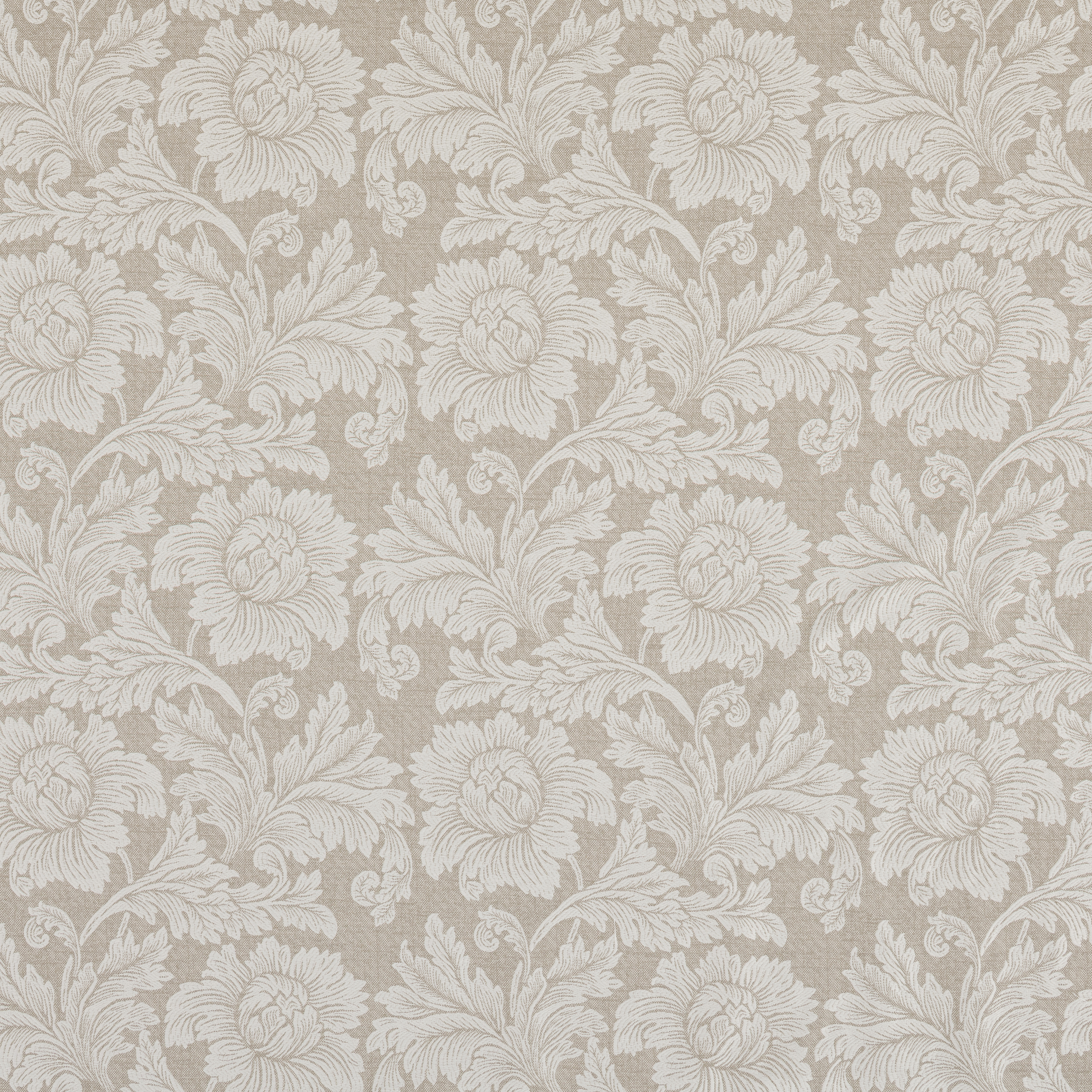 Provence Dove
