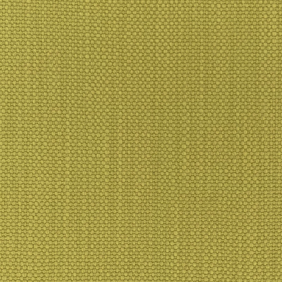 Pimlico Dried Moss by Chatham Glyn