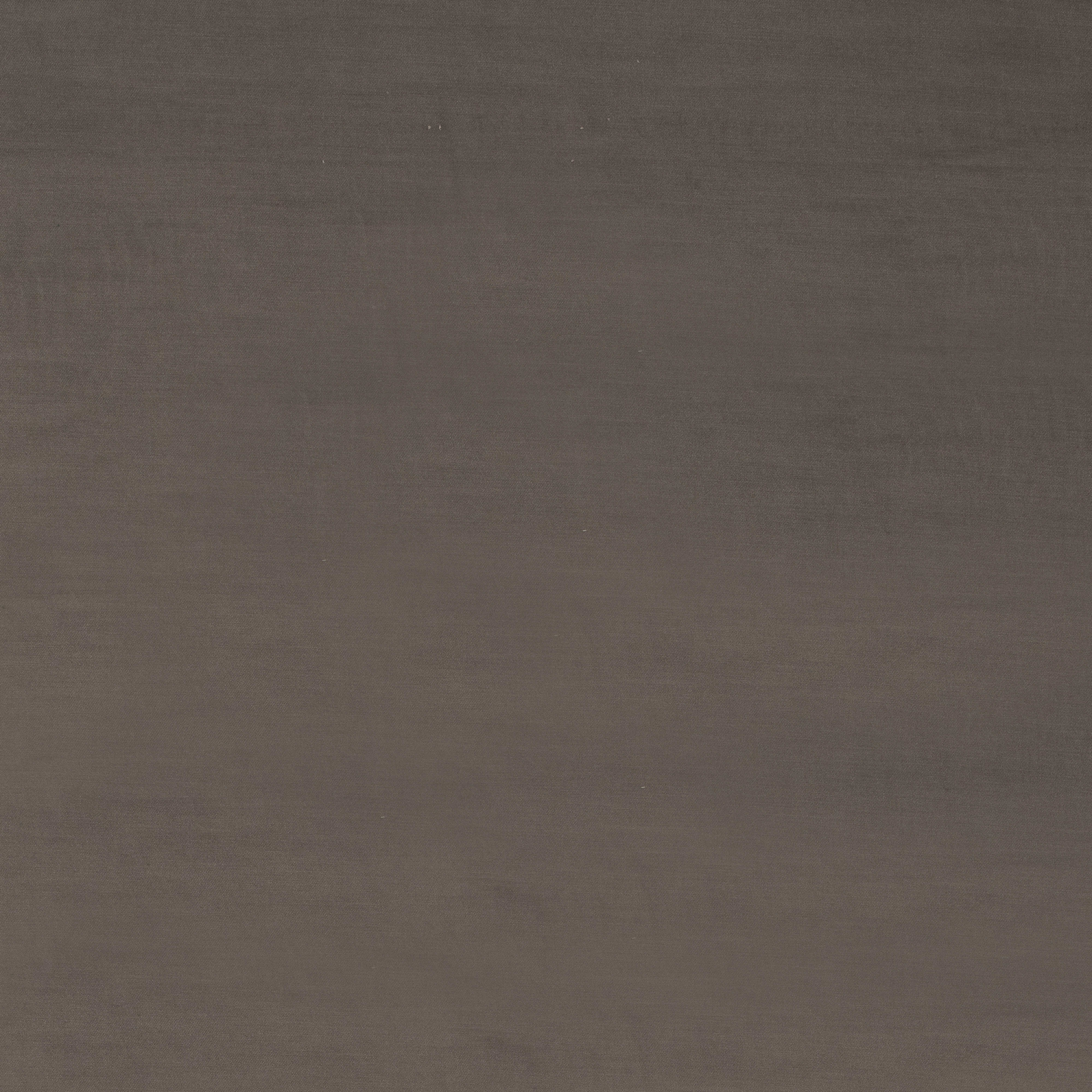 Pure Velvet Moleskin