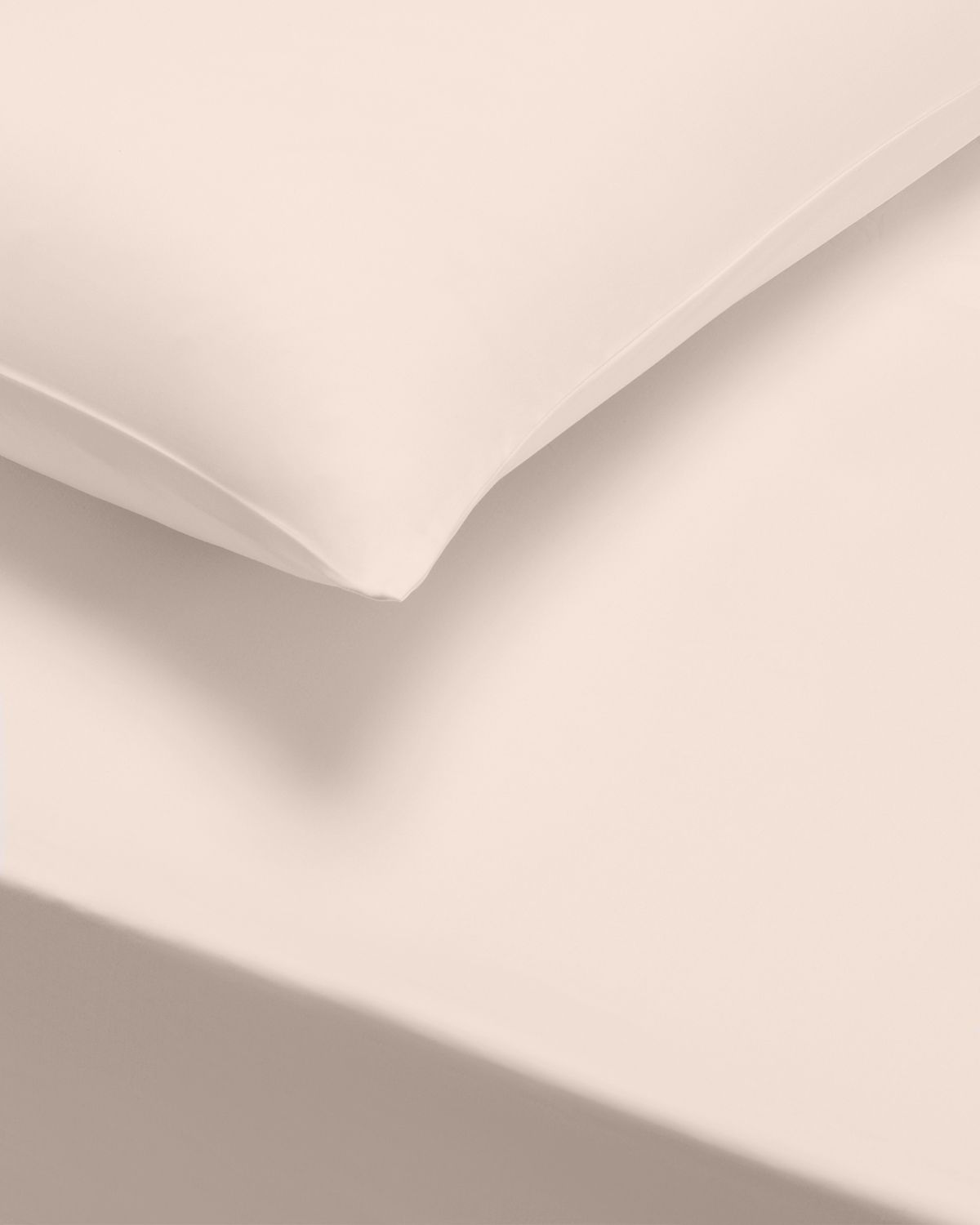 Bianca 200TC Blush Cotton Percale Standard Pillowcase (2 Pack)